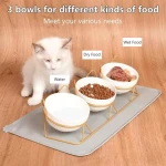 Elevated Cat Drink Bowl Gold Stand Ceramic Raised Cat Food Bowls with Pet Food Mat