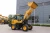 Import Engineering Construction Machinery 2 0 Tons Telescopic Wheel Loader Mexico Turkey Romania Colombia Canada Australia UNIQUE Long from China