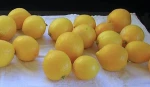 Eureka Lemon, Fresh Lemon, Anyue Lemon