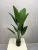 Import Factory Direct Sales Indoor And Outdoor Artificial Tropical Plant Travelers Banana Tree Artificial Palm Tree from China