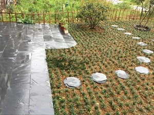 Factory Direct Sales Thick Natural Surface Dia30CM Outdoor Landscaping Black Slate Paving Stone