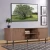 Import Factory New Design Rolling Door TV Stand 65 Flat Screen Entertainment Centre With Two Sliding Doors For Living Room from China