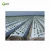 Import Factory Wholesale Agricultural perforated plastic mulch film white from China
