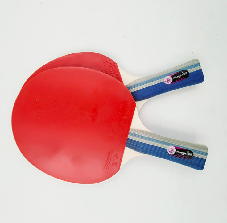 Factory wholesale  Portable  Customizable retractable Cheap and high quality Ping-Pong table tennis set