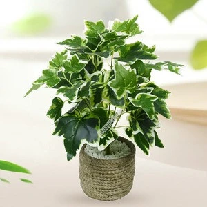 Fake green plants Realistic white Ivy artificial bonsai plant for table decoration