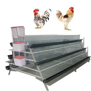 farm equipment with hot galvanized quail cage/a type layer chicken cage for bangladesh