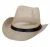 Import Fashion style white summer unisex sun protect paper hats cowboy from China