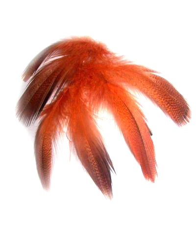 Fashionable Colorful 3-4 inch Duck  Feather  for Wholesale