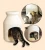 Import [FIKA] FiKA Stool House colorful HDPE easy to clean durable eco-friendly Korean cat dog house from South Korea