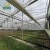 Import film greenhouse from China