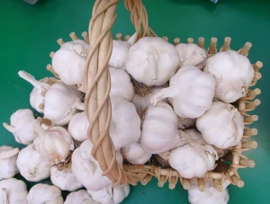 First Grade Fresh garlic/Normal White Garlic/Pure White Garlic for sale