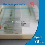 Fixed set Teaching Resources University students study 78 pieces medical parasitology microscope slides