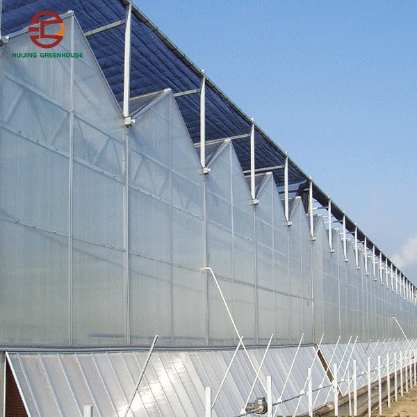 Flowers Planting PC/Glass/Film Greenhouse with Shading System