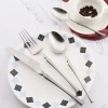 French stainless steel knife and fork spoon tea spoon flatware silverware set