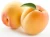 Import Fresh apricot, Organic Fresh apricot, Fresh Apricot fruit from Germany