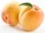Import Fresh Apricots | Frozen Apricots,Quality Grade  Fresh Apricots from Germany