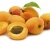 Import Fresh Apricots from Canada