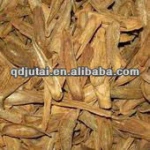 Fresh burdock