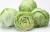 Import Fresh High Quality Cabbage Wholesale From Bangladesh from Bangladesh