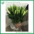 Import Fresh Lily Cut Flower from China