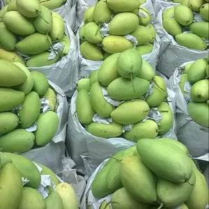 Fresh Mango Best Price