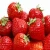 Import Fresh Strawberry, Frozen Strawberry, Berries Fresh Berries Fruits from USA