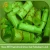 Import Fresh vegetables export suppliers with best price asparagus lettuce from china from China