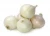 Import FRESH WHITE ONION from South Africa