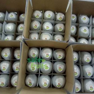 Fresh / Young Coconut with High Quality for wholesale Top Cover / Diamond cut / Round Shape Coconut