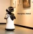 Import Front Desk Humanoid Telepresence Robot SIFROBOT-4.2 With Face; Voice Recognition, Reception Robot from USA
