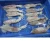 Import Frozen Squid Whole from India