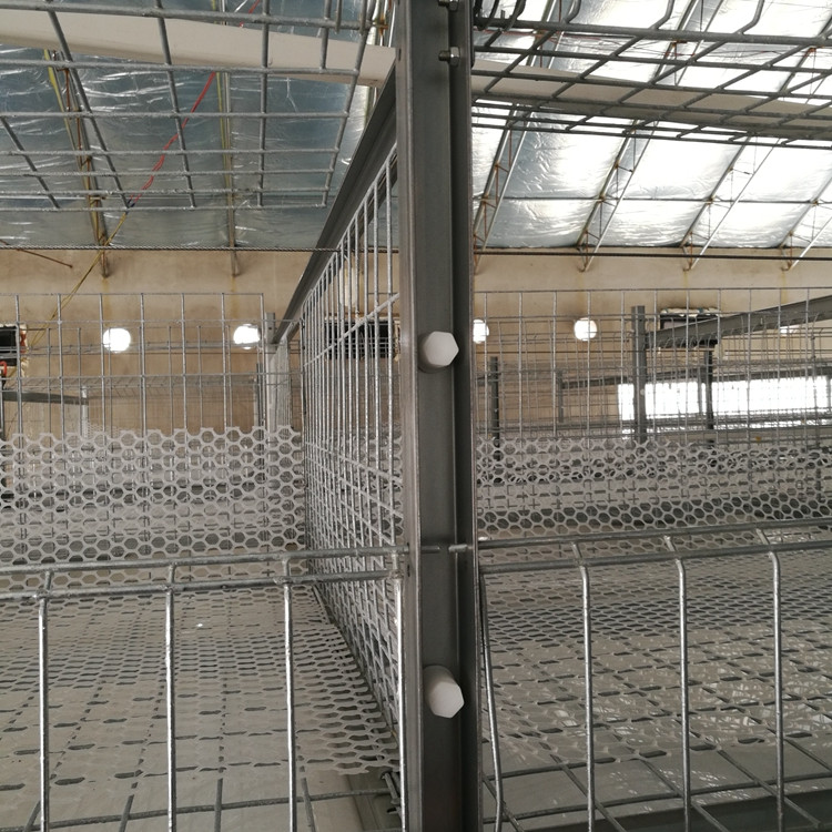 Buy Galvanized House Welded Wire Mesh Broiler Chicken H Type Automatic ...