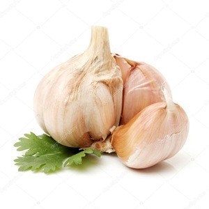 Garlic price/fresh garlic white natural ajo supplier in China