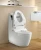 Import Gizo JJ-0805z Smart American Standard Bidets White Toilets With Dual Nozzle from China