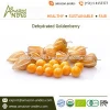 Good Quality Golden Berries Available from Trusted Manufacturer