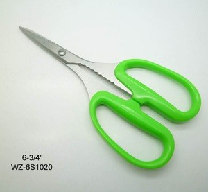 grape scissors in garden