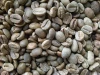 Green Bean : Arabica Java Gr 1 Dry Process
