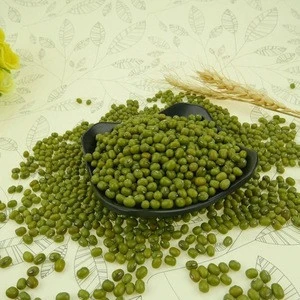 Green Mung Beans / Green Gram / Vigna radiata (Red Ruby) Min. Order: 18 Tons