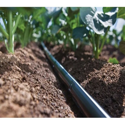 Greenhouse micro irrigation system design