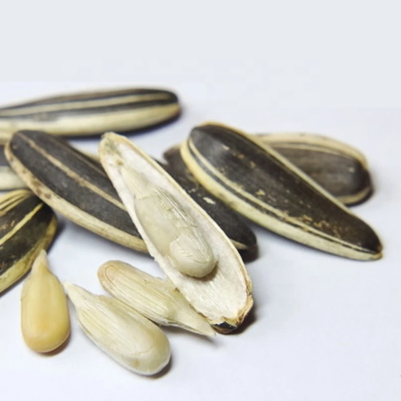 Halal Certificate Nut Snacks Roasted Sunflower Seeds In Shell Original Flavor
