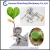 Import Hand operation stainless steel WheatGrass Juicer/Stainless steel wheatgrass juicer from China