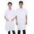 Import Hao Baby Short Sleeve Nurse Uniform Custom Pharmacy Lab Workwear Cosmetologist Physician Wholesale White Coat Uniform from China
