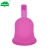 Import Healeanlo Hygiene Silicone Lady Drain Valve Folding Menstrual Cups with lid collapsible period cup from China