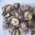Import Healthy organic mushroom dried shiitake from China