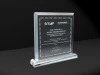 high exquisite new design acrylic awards and trophies of acrylic craft