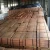 Import High quality electrolytic Copper Cathode 99.99 with factory from China