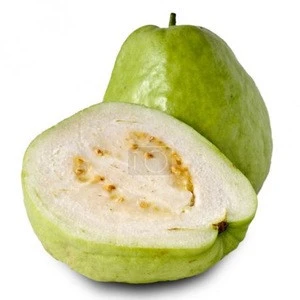 High Quality Fresh Guava Fruits Supplier