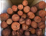 high-quality furniture wood is hard and heavy with texture Australia Lancewood Acacia log trade Best Price fresh cut
