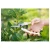 Import High quality Garden Scissors Pruning Shears with Sharp Blade garden tools from China