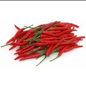 High Quality Hot Red Chili Pepper Good Flavor Dried Chili Pepper Paprika Single Spices & Herbs Wholesale Red Chilli Best Price
